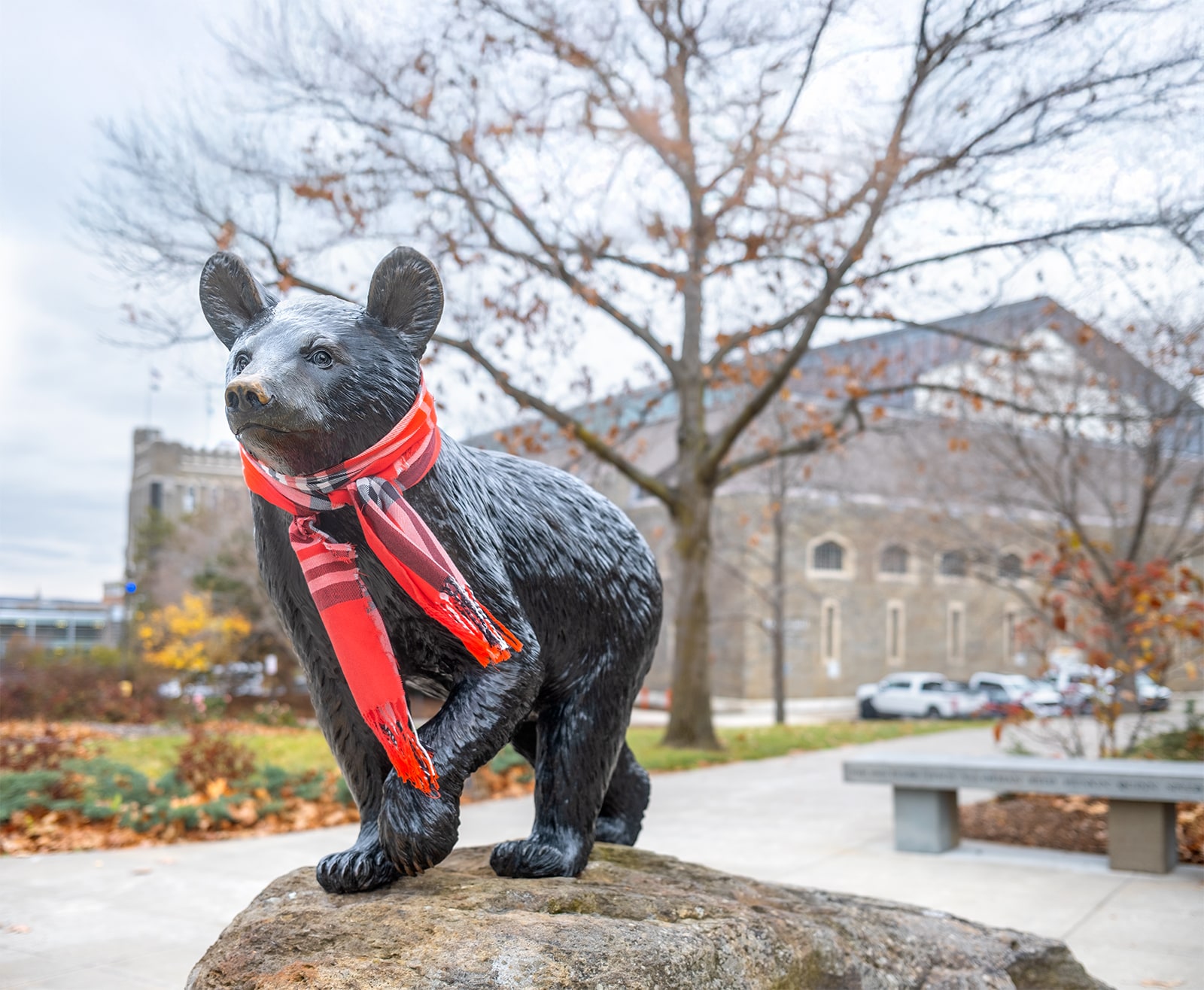 cornell university outdoor mascot statue with a scarf on